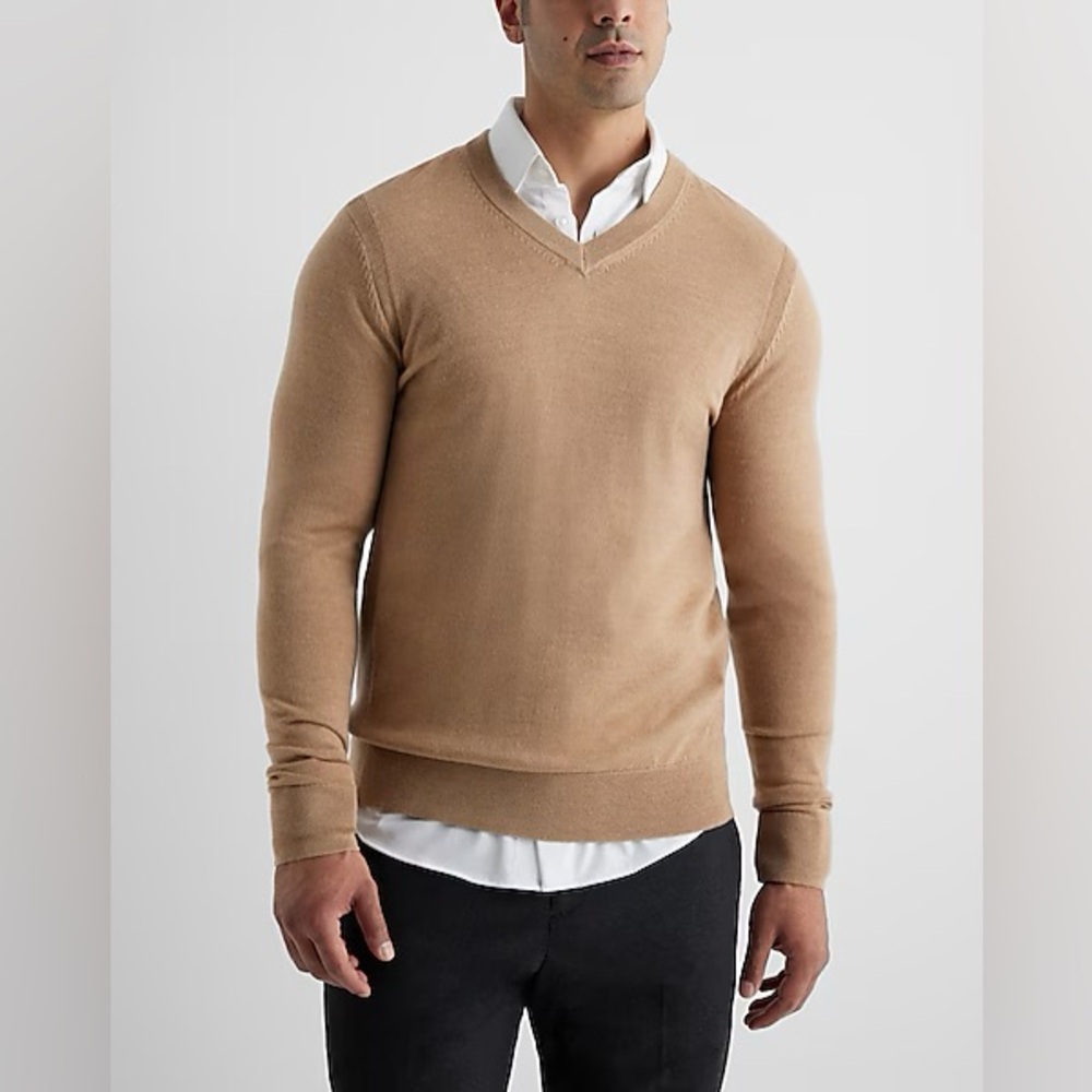 NWT Express V Neck Sweater 100% Merino Wool